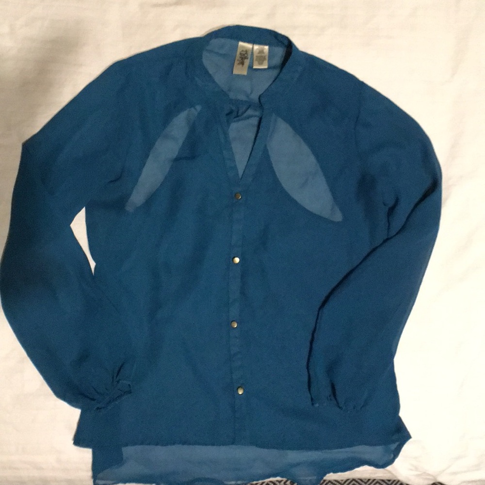 Blue sheer blouse with back cutouts